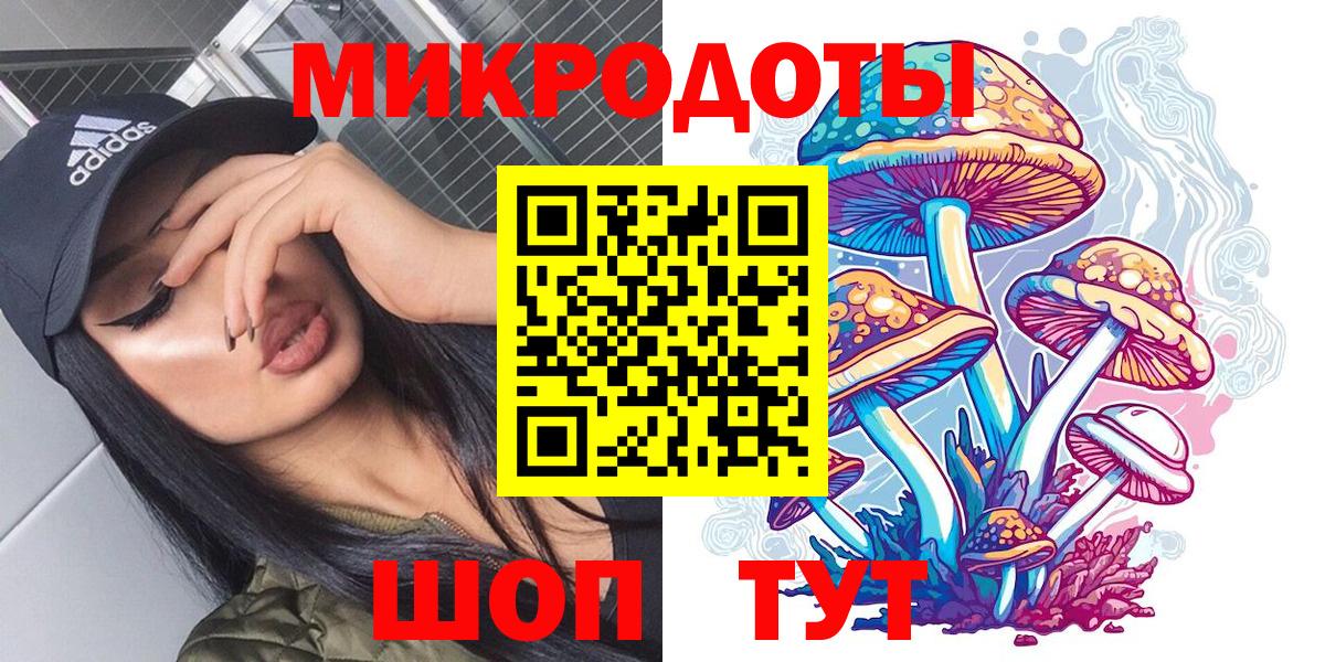 Псилоцибиновые грибы Psilocybe  Вход с VPN  Подольск 