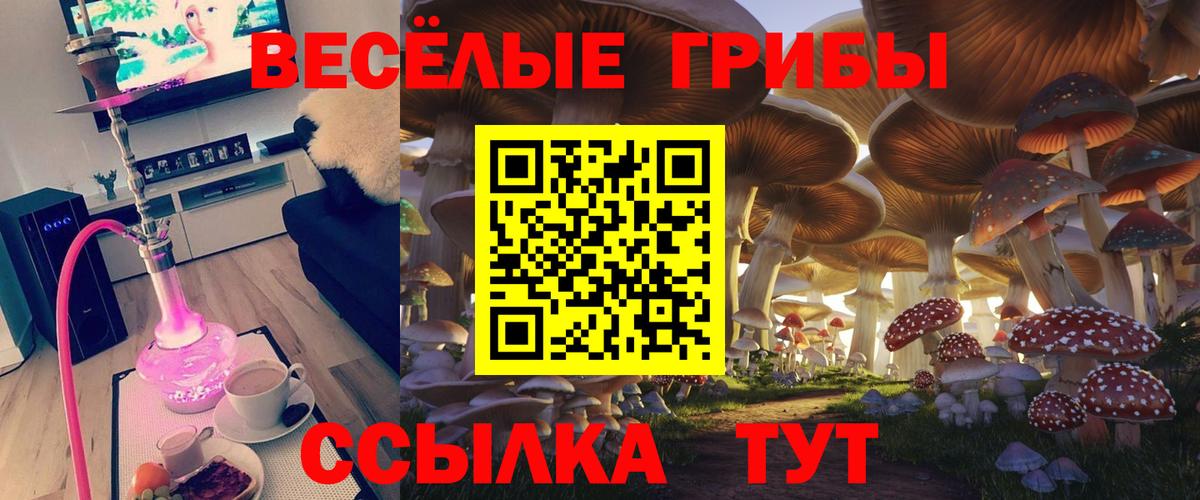 Галлюциногенные грибы Magic Shrooms Подольск